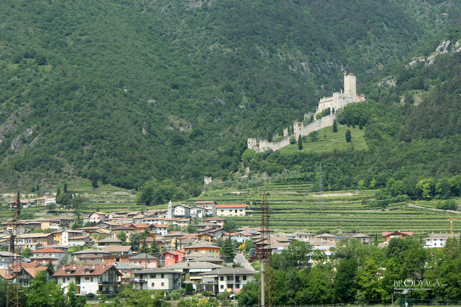 Avio